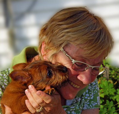 Aussie Terrier breeder - Nova Scotia